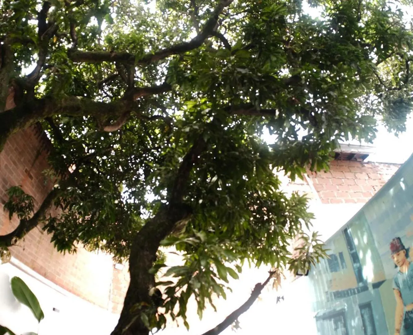 Parceros House Apartment Medellin Colombia